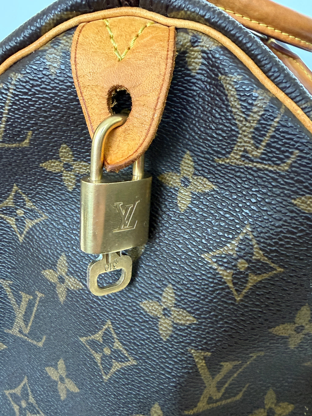 Louis Vuitton Monogram Speedy 30